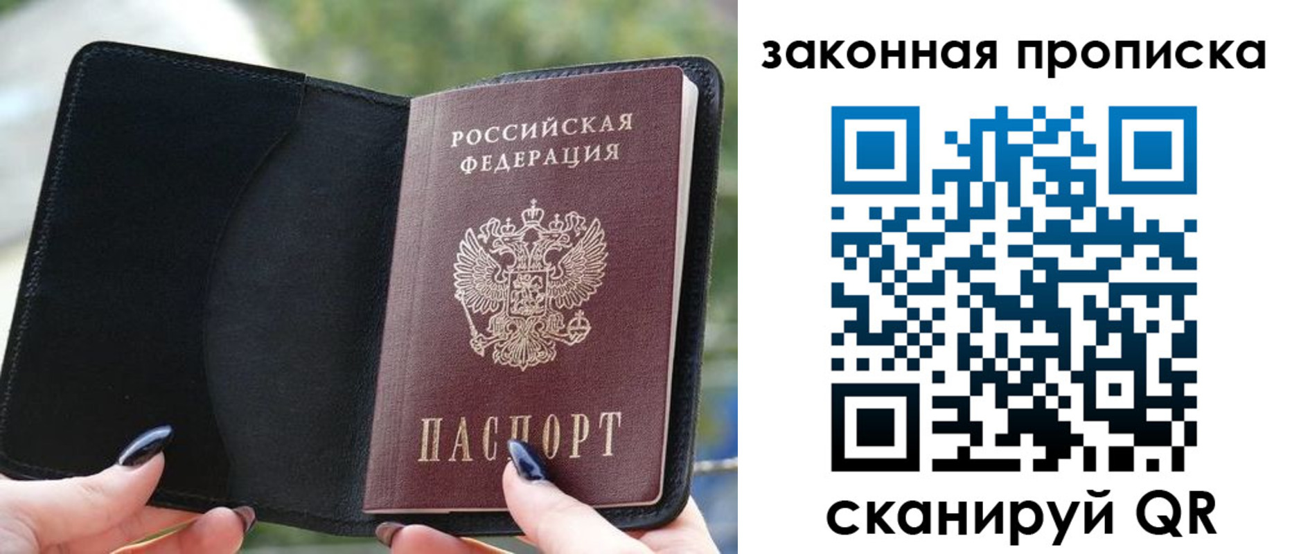прописка законно в Зверево